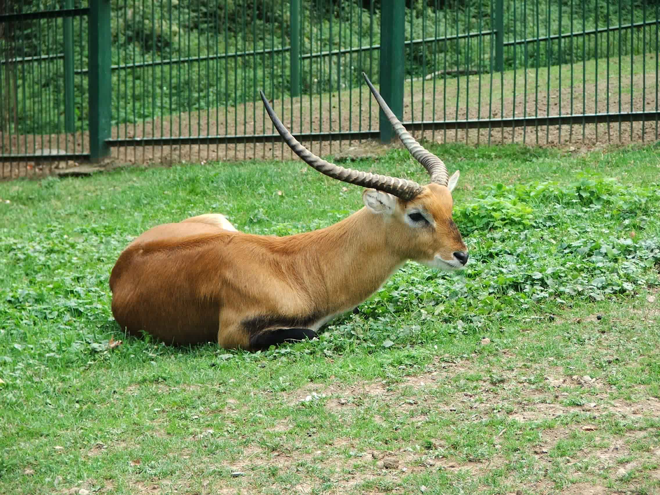 DSCF0683.JPG