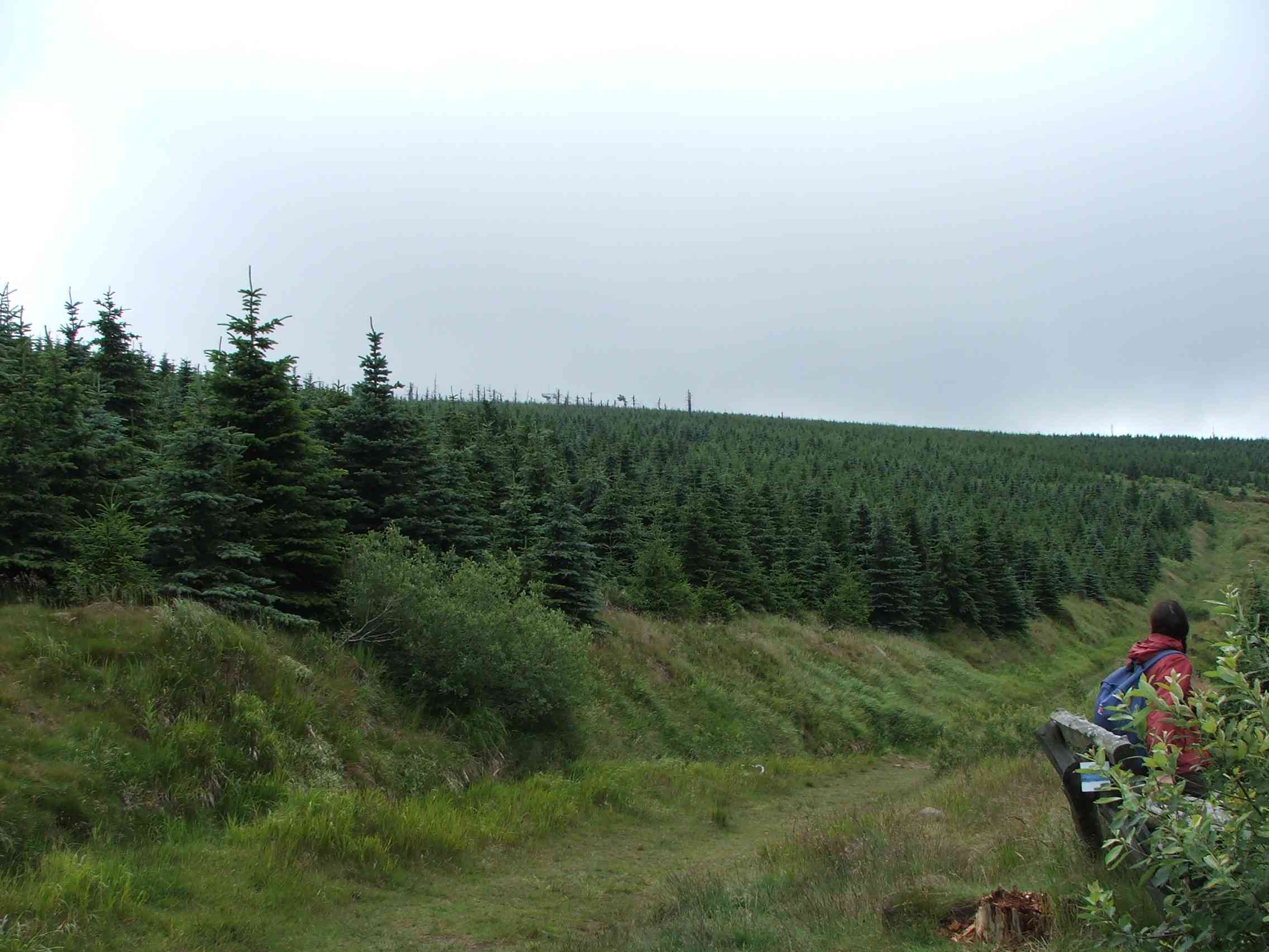 DSCF7667.JPG