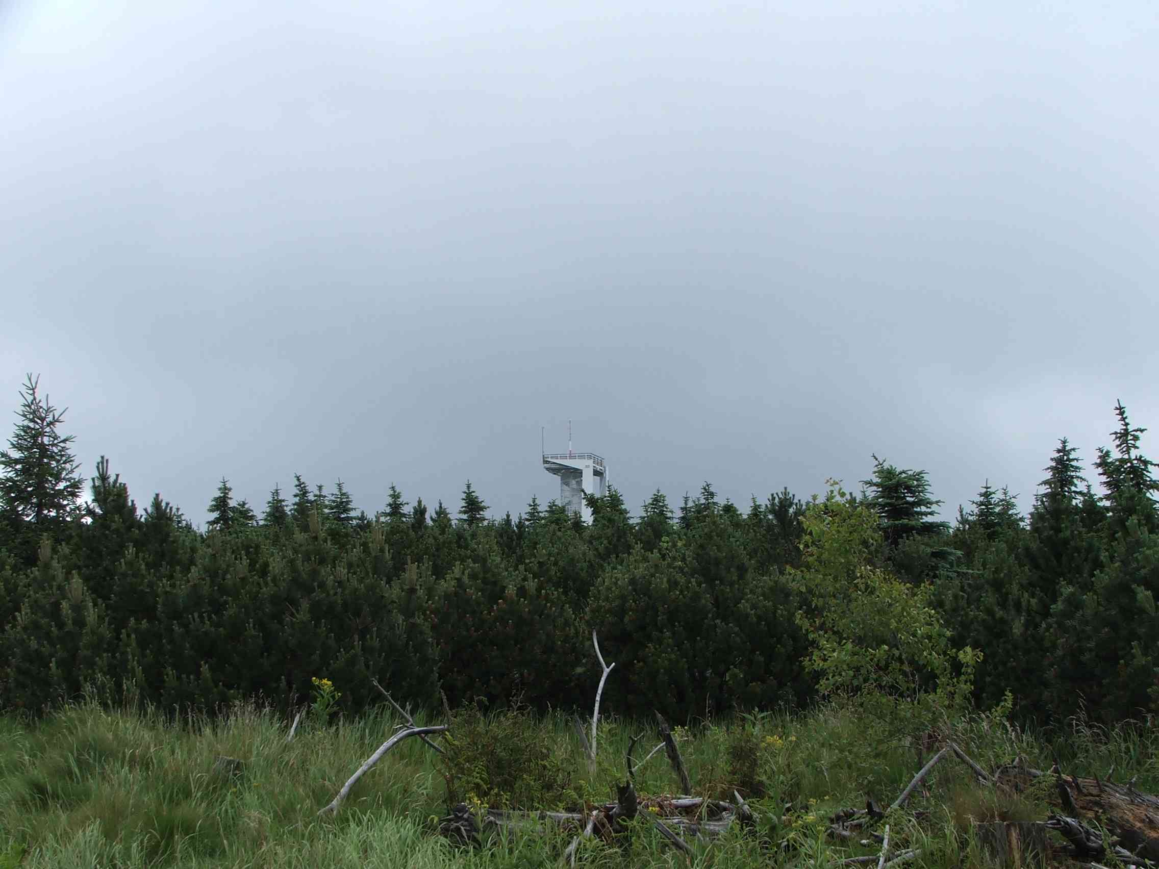 DSCF7672.JPG